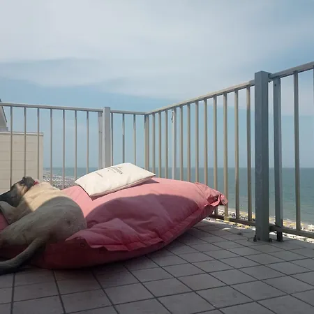 Negresco Alojamento de Acomodação e Pequeno-almoço