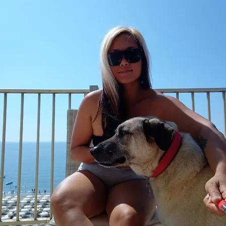 Alojamento de Acomodação e Pequeno-almoço Negresco 3*