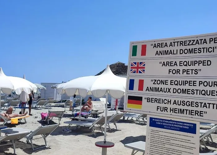 Oda ve Kahvaltı Negresco Milano Marittima