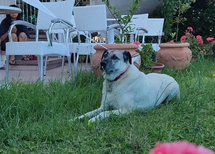 Negresco Milano Marittima