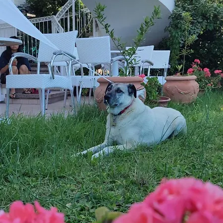 Negresco 米兰马瑞提那