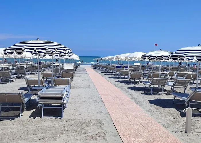 Negresco Отель типа 