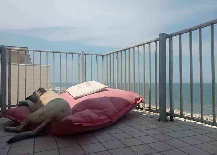 Negresco Отель типа 